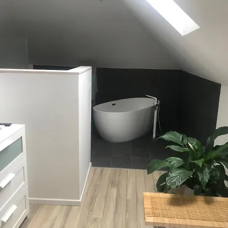 Zimo Taliandoeroegdi Mozihaz