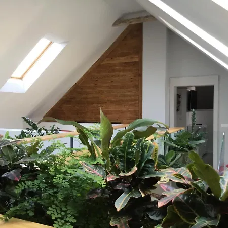 Apartment Zimo Taliandoeroegdi Mozihaz Taliandorogd