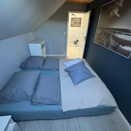 Zimo Taliandoeroegdi Mozihaz