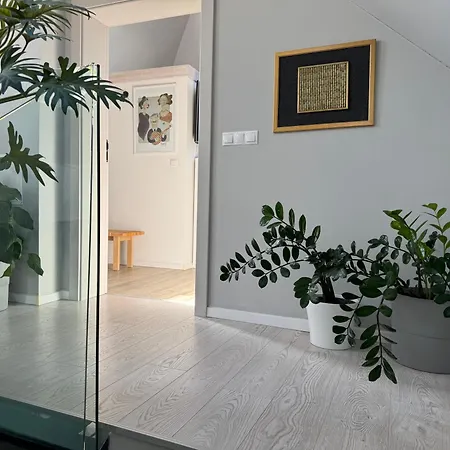 Zimo Taliandoeroegdi Mozihaz * Taliandorogd