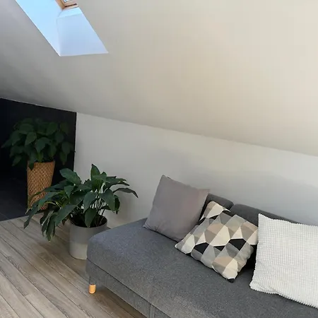 Zimo Taliandoeroegdi Mozihaz