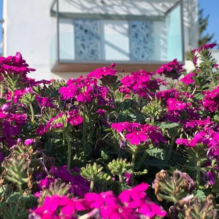 Zimo Taliandoeroegdi Mozihaz Apartment *